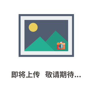 低溫省煤器及脫白技術